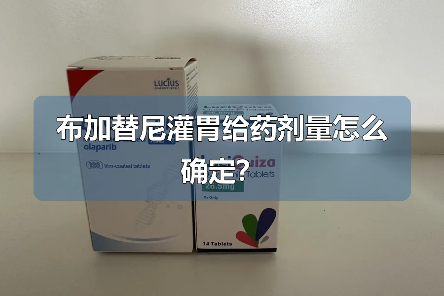布加替尼灌胃给药剂量怎么确定?