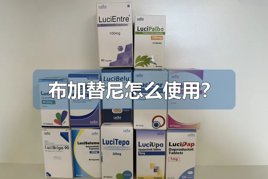 布加替尼怎么使用？