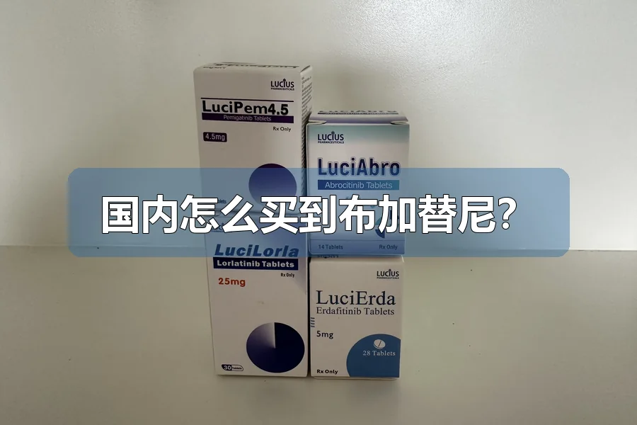 国内怎么买到布加替尼?